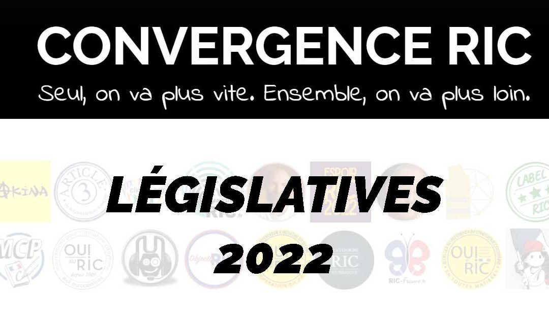 Convergence démocrate aux législatives