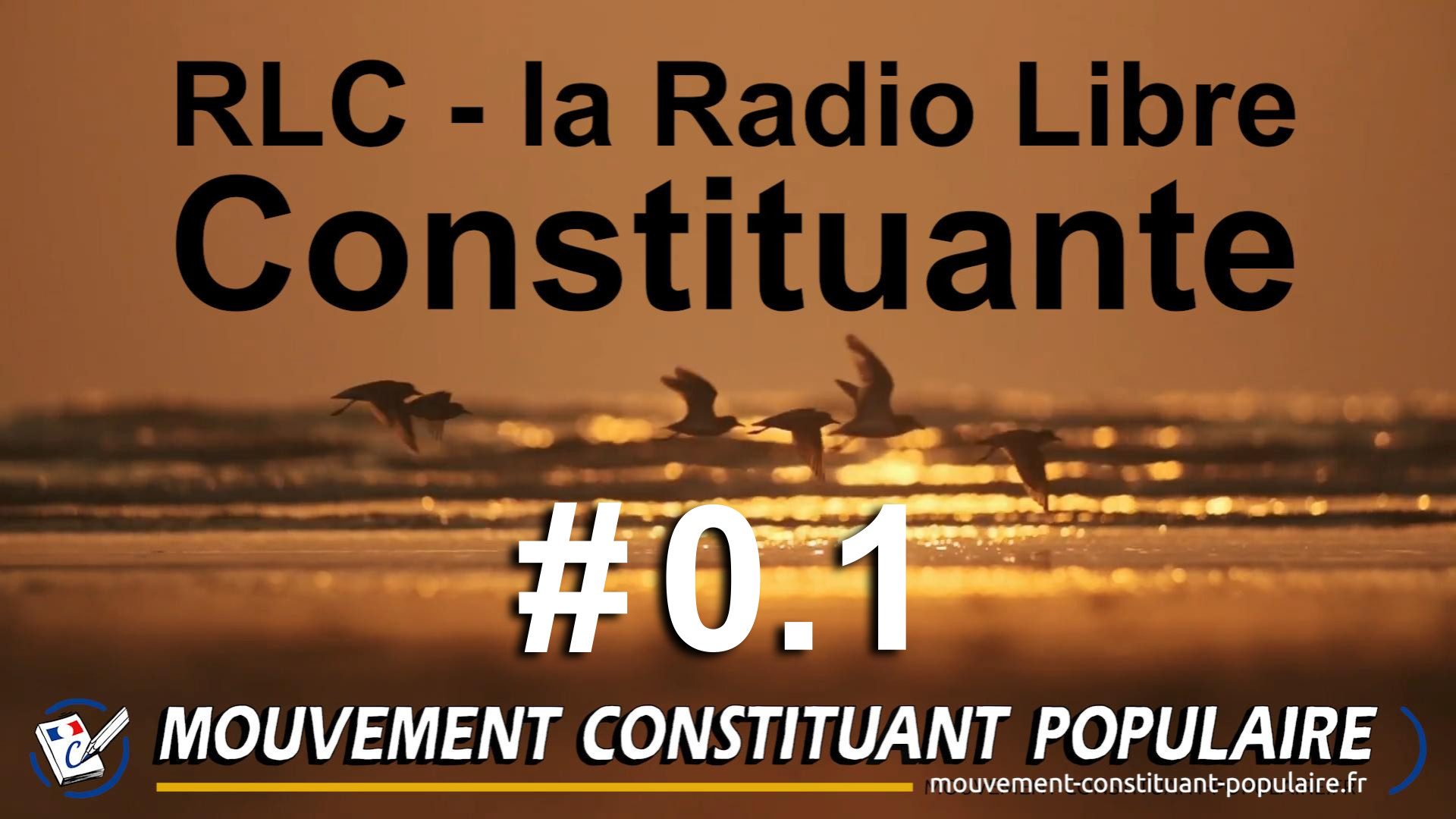 #0.1 Radio Libre Constituante
