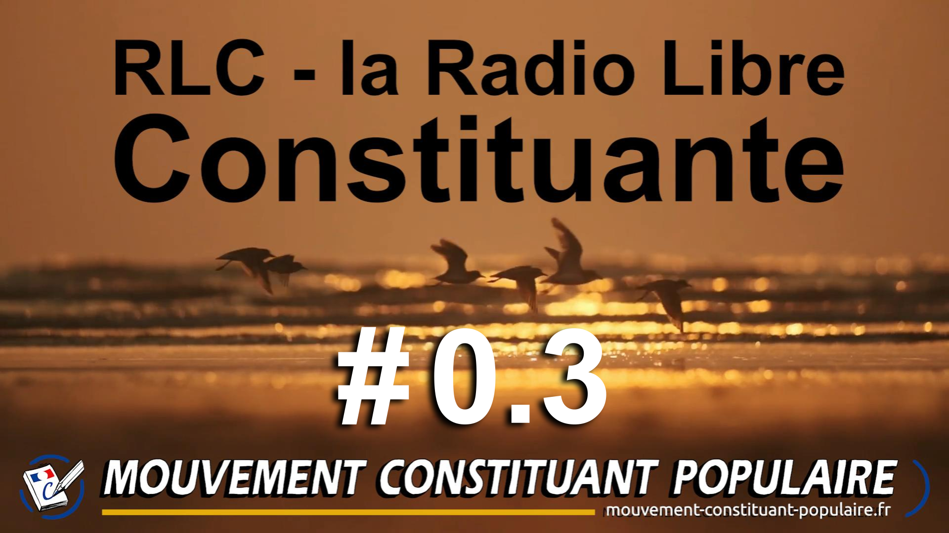 #0.3 Radio Libre Constituante