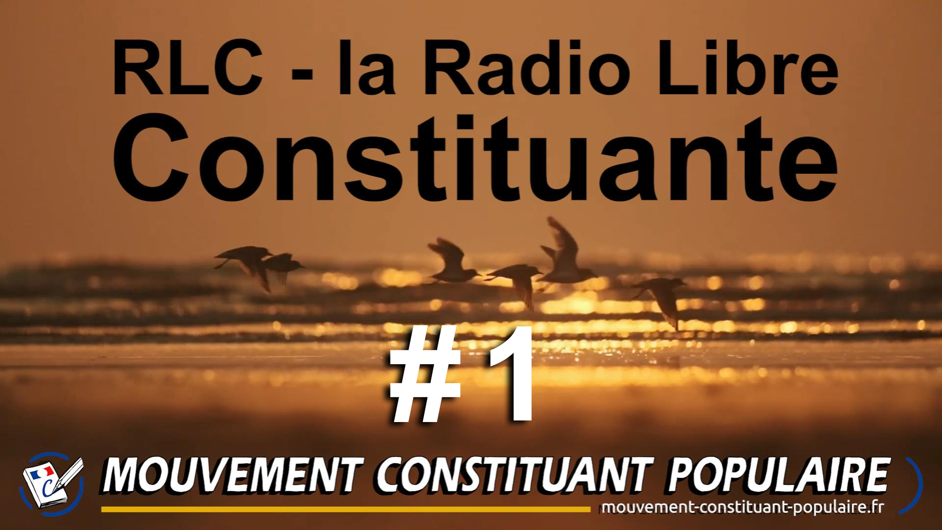 Synthèse de la RLC#1 : IA et technologies (1ère de la Radio Libre Constituante)