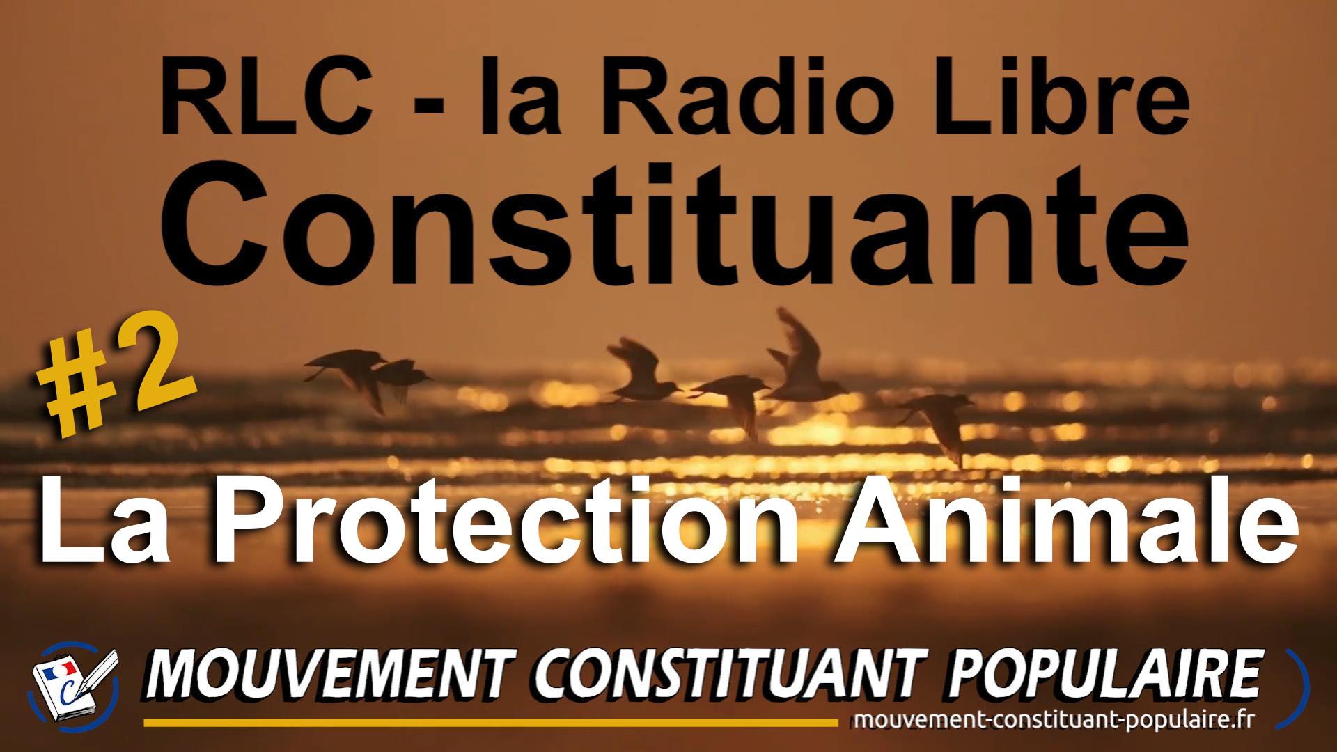 #2 La Protection Animale