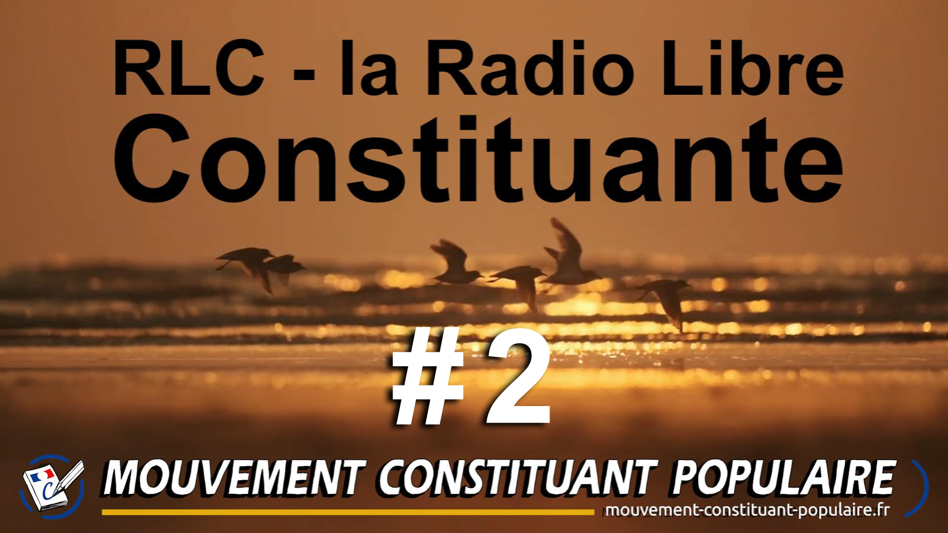 RLC#2 – La Protection Animale (vidéo et synthèse)