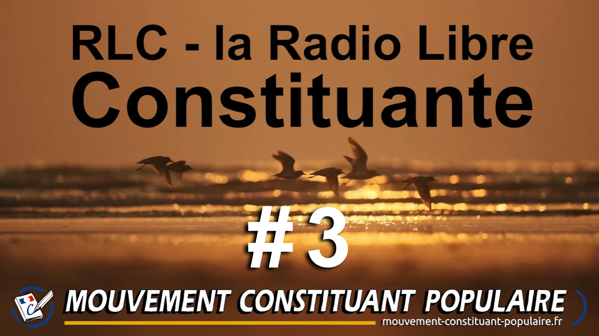 #3 Radio Libre Constituante